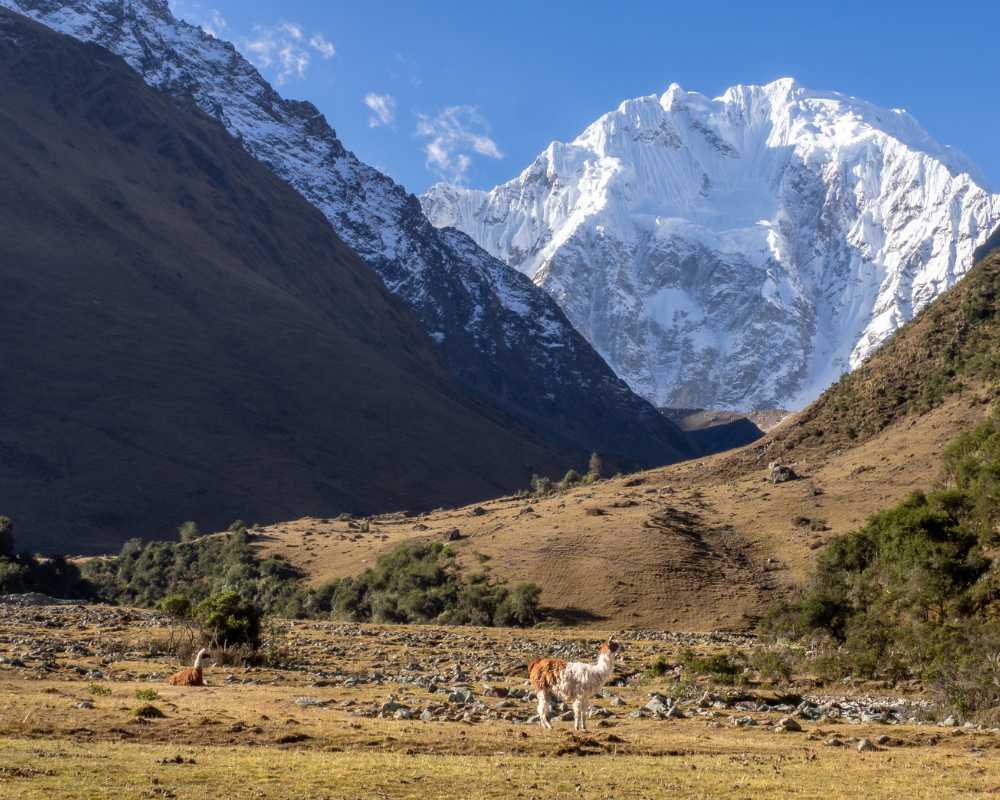 salkantay trek to Machu Picchu